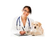 Veterinário para Cães em Diadema - Sp
