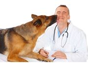 Vacinação em Cães no Ibirapuera