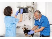 Raio X Veterinário em Domicílio no Embu