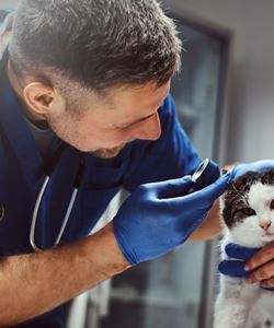 Atendimento Dermatológico