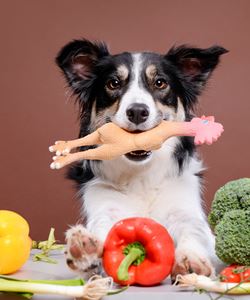 Atendimento Nutricional