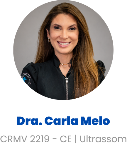 Imagem da Dra. Carla Melo