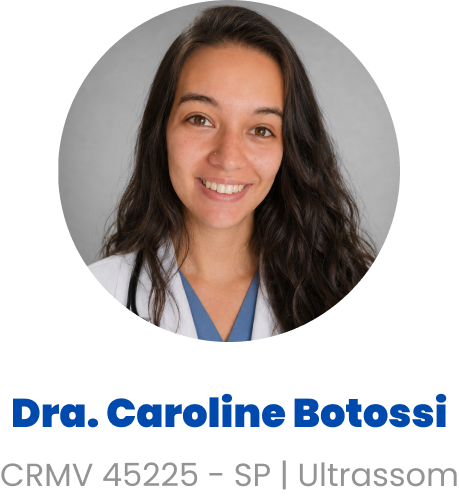 Imagem da Dra. Caroline Botossi
