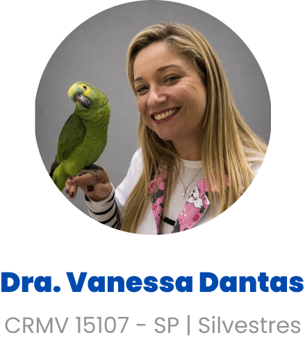 Imagem da Dra. Vanessa Dantas