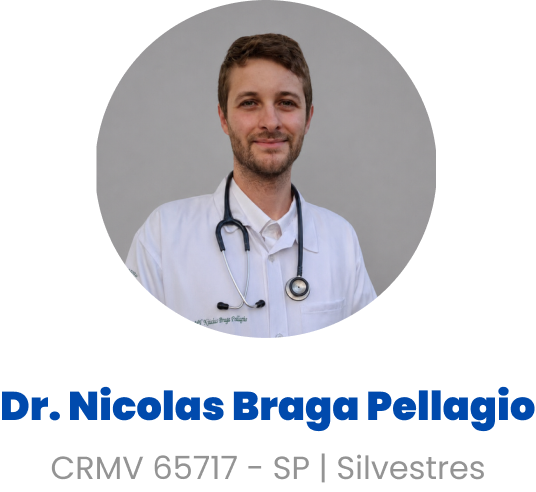 Imagem do Dr. Nicolas Braga
