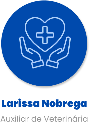 Imagem da Auxiliar Larissa Nobrega