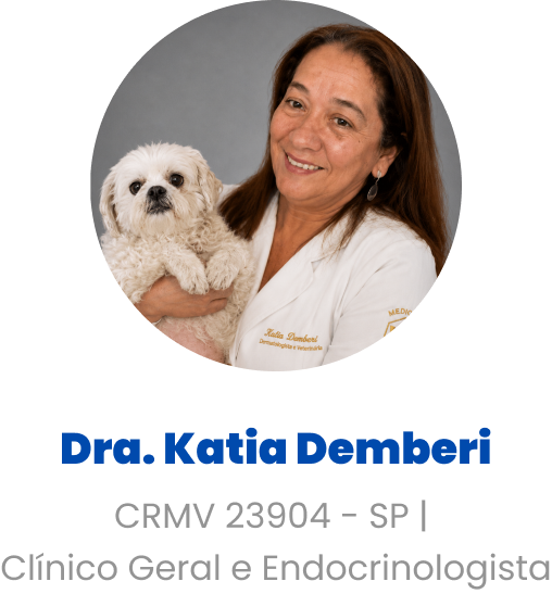 Imagem da Dra. Katia Demberi