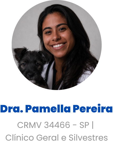 Imagem da Dra. Pamella Pereira