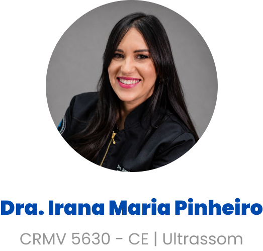 Imagem da Dra. Irana Maria