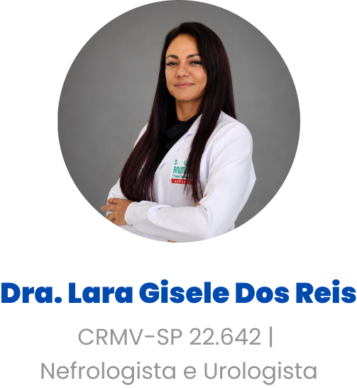 Imagem da Dra. Lara Gisele