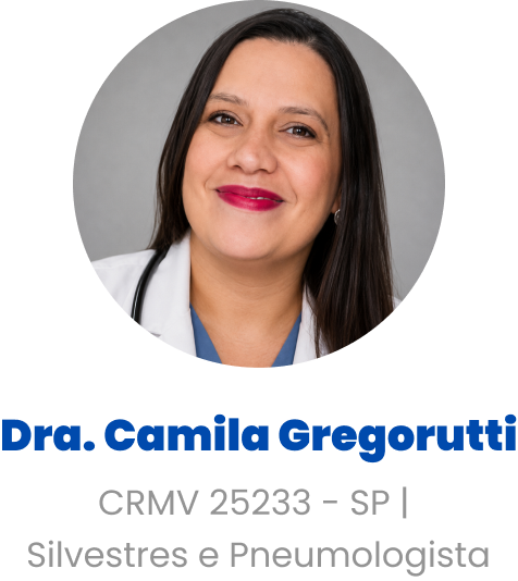 Imagem da Dra. Camila Gregorutti